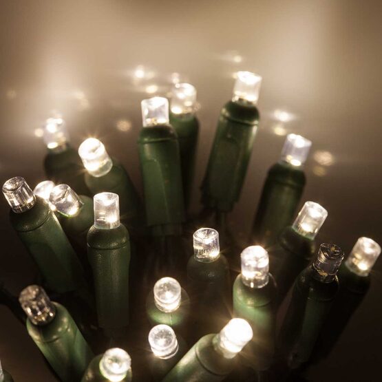 5mm SoftTwinkle Wide Angle Warm White LED Christmas Lights on Green