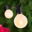 25' Warm White FlexFilament TM Satin LED Patio String Light Set with 25 G50 Bulbs on Black Wire, E12 Base