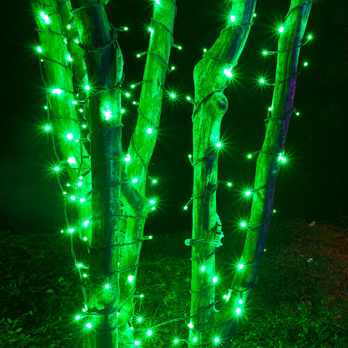 50 Kringle Traditions 5mm Green LED Christmas Lights, Green Wire, 6" Spacing, Balled Set