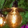 FlexFilament Antiqued LED Patio String Light Set with G125 Edison Bulbs on Black Wire