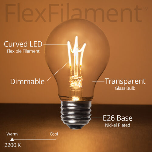 A19 Transparent Glass Warm White FlexFilament LED Edison Bulbs 