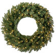 24" Douglas Fir Prelit Wreath, 50 Clear Mini Lights