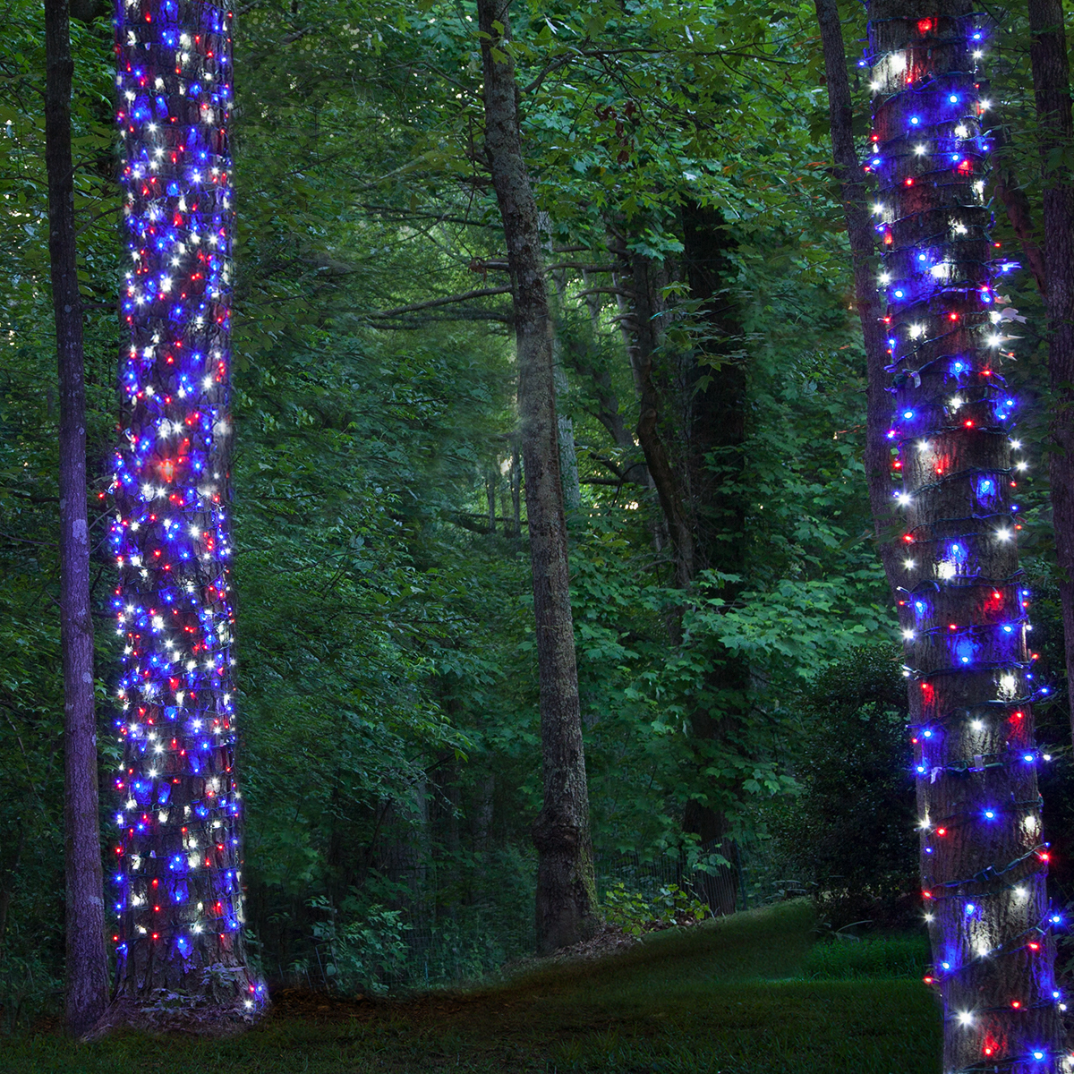 Red led store christmas lights