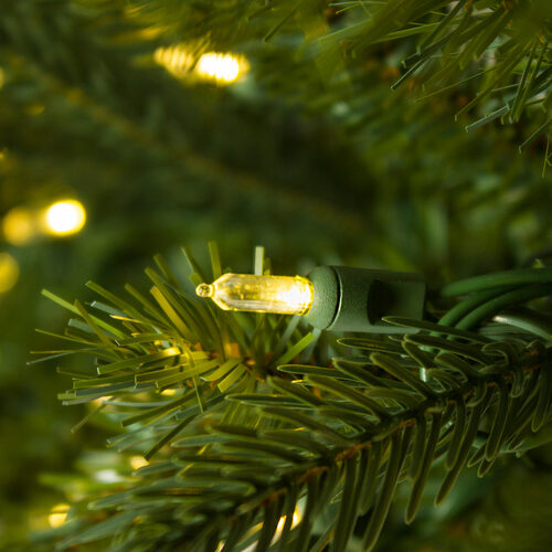 9' x 14" Balsam Fir Prelit LED Holiday Garland, 100 Warm White Lights