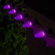 C7 Purple OptiCore Commercial LED Halloween Lights, 25 Lights, 25'