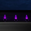 C9 Purple OptiCore LED Bulbs