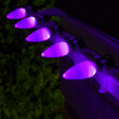 C9 Opaque Purple OptiCore LED Bulbs