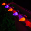C7 Amber / Purple Smooth OptiCore Commercial LED Halloween Lights, 50 Lights, 50'