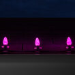 C7 Pink OptiCore LED Bulbs