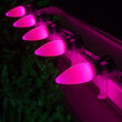 C9 Opaque Pink OptiCore LED Bulbs