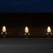 C7 Warm White OptiCore Commercial LED Christmas Lights, 25 Lights, 25'