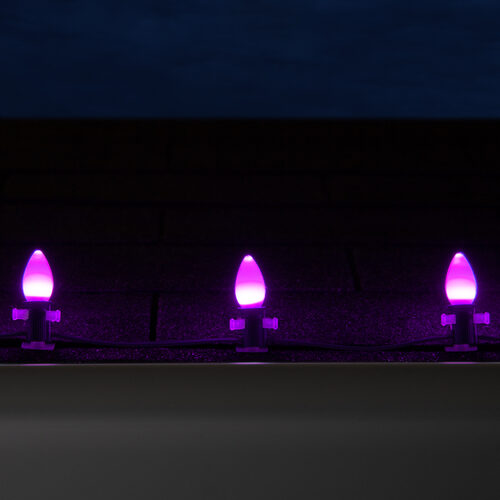 C7 Purple Smooth OptiCore Commercial LED Halloween Christmas Lights, 100 Lights, 100'