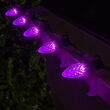 C7 Purple OptiCore Commercial LED Halloween Christmas Lights, 25 Lights, 25'