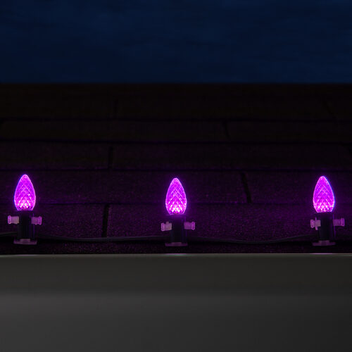 C7 Purple OptiCore Commercial LED Halloween Christmas Lights, 25 Lights, 25'