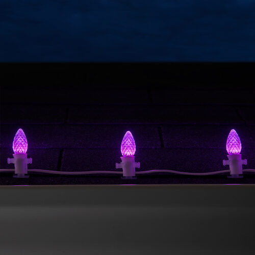 C7 Purple OptiCore Commercial LED Christmas Lights, 25 Lights, 25'