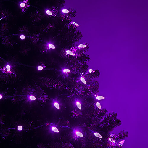 70 C6 Purple LED Christmas Lights, Green Wire, 4" Spacing