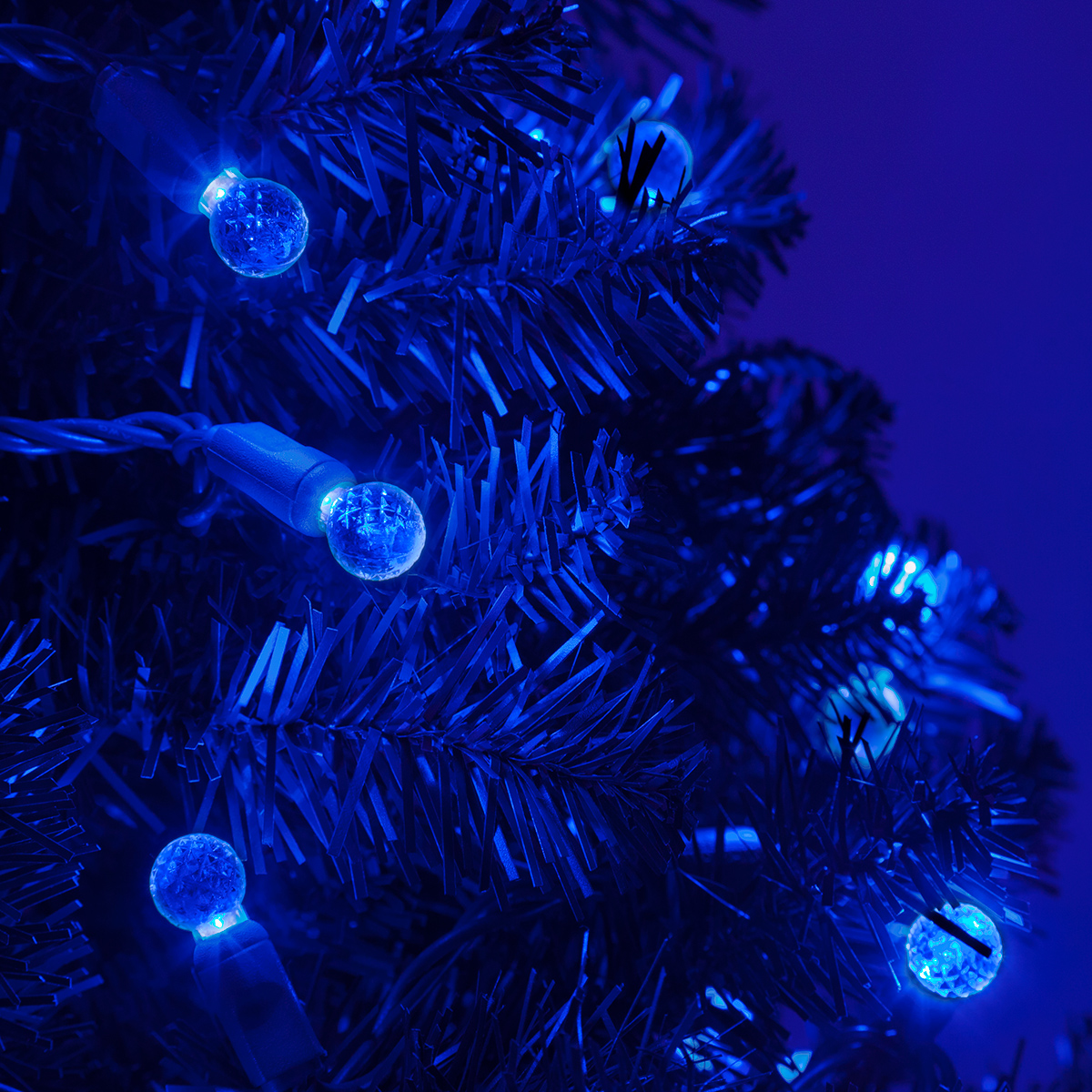 G12 Razzberry Blue LED Christmas Lights on Green Wire