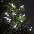 50 T5 Cool White LED Christmas Tree Lights Green Wire, 4" Spacing