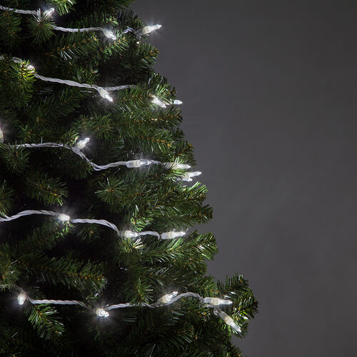 50 T5 Cool White LED Christmas Tree Lights White Wire, 6" Spacing