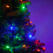 T5 Multi Color LED Christmas Tree Lights on Green Wire
