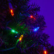 T5 Multi Color LED Christmas Tree Lights on Green Wire