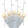  LED Curtain Lights, 150 Warm White 5mm Lights on White Wire