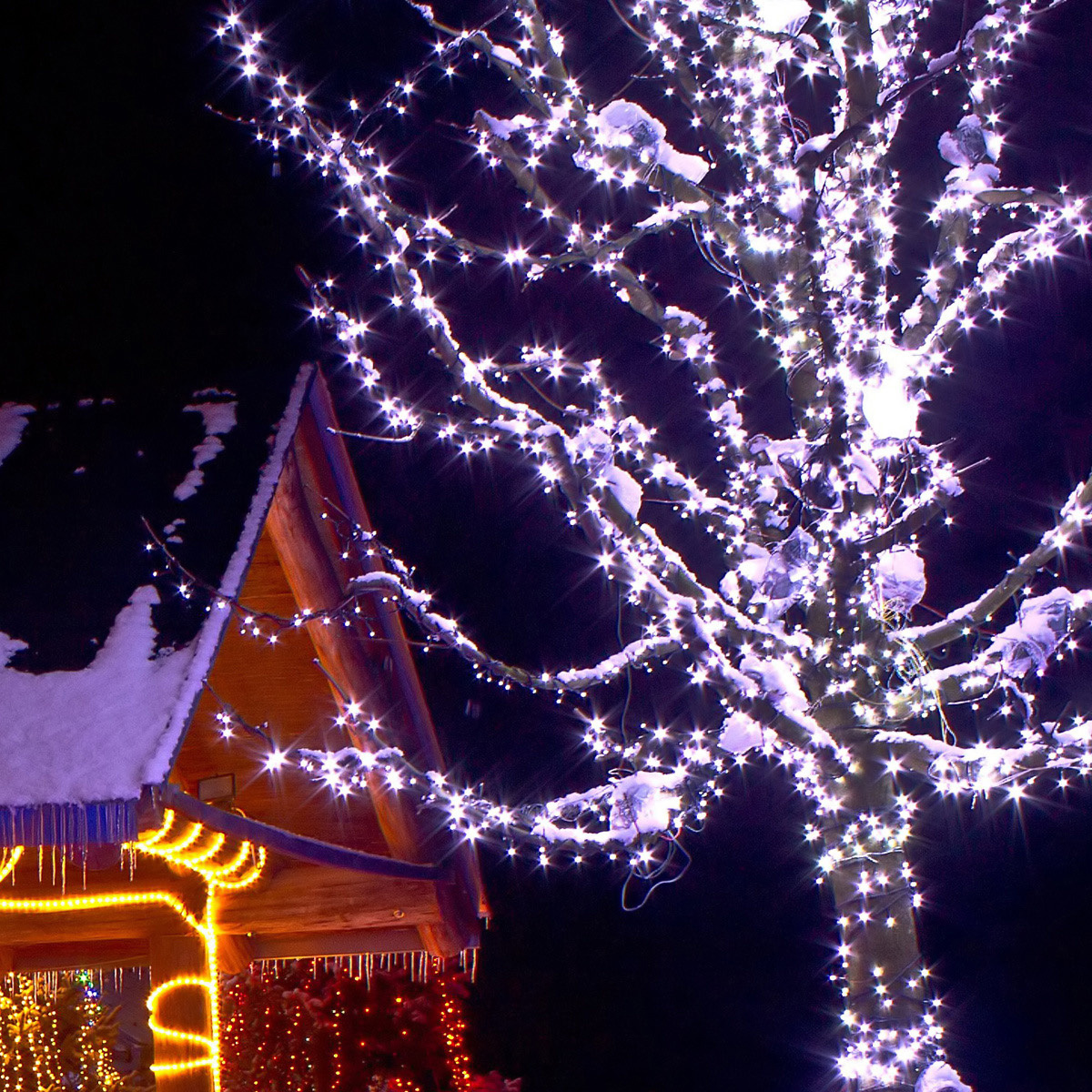 cool white christmas pathway lights