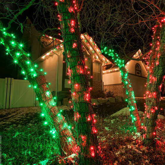 5mm Wide Angle Red LED Christmas Lights on Green Wire Wintergreen