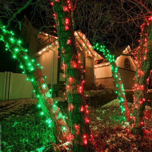 70 5mm Red LED Christmas Lights, Green Wire, 4" Spacing