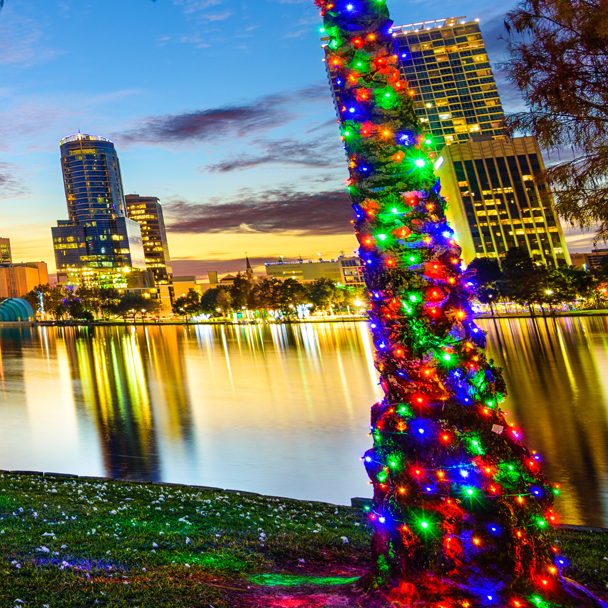 LED REGZA美品 レグザ、RGBミニLEDテレビ「ZX1」を12月発売。116型で約660万円 - AV Watch