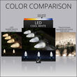C9 Twinkle Cool White OptiCore LED Bulbs