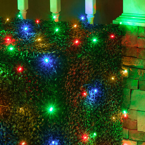 4' x 6' Multicolor 5mm LED Christmas Net Lights, 100 Lights on Green Wire