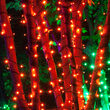 50 Kringle Traditions 5mm Amber LED Christmas Lights, Green Wire, 4" Spacing