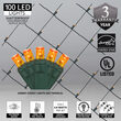 4' x 6' Amber 5mm LED Christmas Net Lights, 100 Lights on Green Wire
