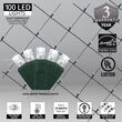 4' x 6' Cool White Twinkle 5mm LED Christmas Net Lights, 100 Lights on Green Wire