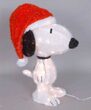 3D Lighted Snoopy with Santa Hat Peanuts Outdoor Decoration
