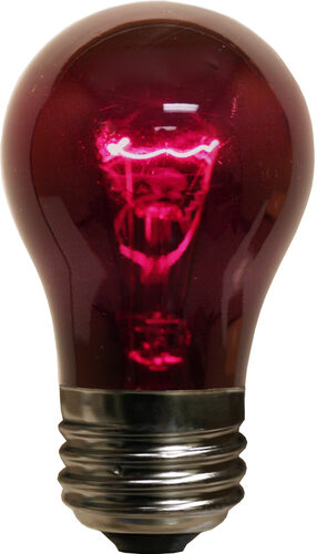 A15 Purple Transparent Bulbs, E26 - Medium Base