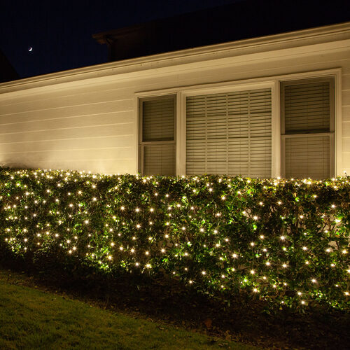 Warm White 5mm LED Christmas Net Lights on Green Wire - Corporation - Wintergreen Corporation