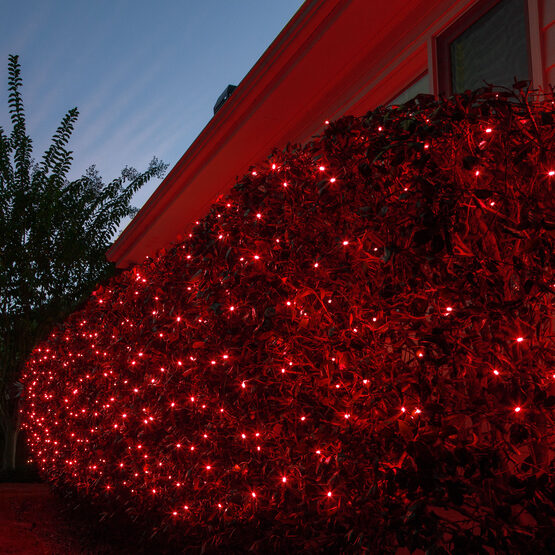 Red 5mm LED Christmas Net Lights on Green Wire Wintergreen