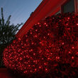 4' x 6' Red 5mm LED Christmas Net Lights, 100 Lamps on Green Wire