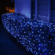 4' x 6' Blue 5mm LED Christmas Net Lights, 100 Lamps on Green Wire