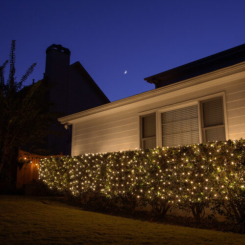 4' x 6' Clear Twinkle Mini Christmas Net Lights, 150 Lights on Green Wire