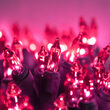 50 Pink Mini Lights, Green Wire, 6" Spacing