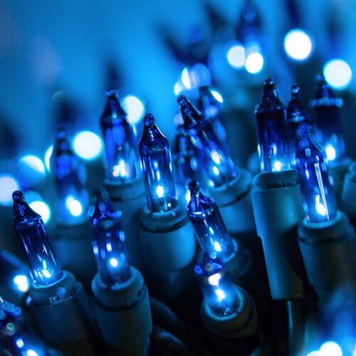 100 Blue Mini Lights, Green Wire, 2.5" Spacing