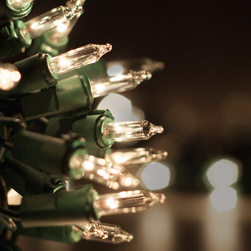 100 Clear Twinkle Mini Lights, Green Wire, 6" Spacing