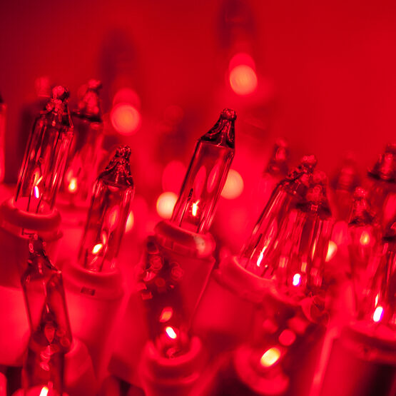 50 Red Mini Lights, White Wire, 4" SpacingWintergreen Corporation