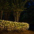 4' x 6' Warm White M5 LED Christmas Net Lights, 100 Lights on Green Wire