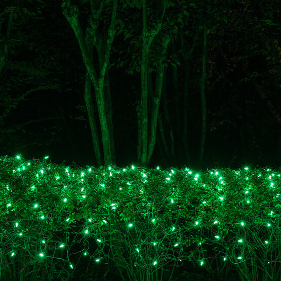 Green M5 LED Christmas Net Lights on Green Wire Wintergreen