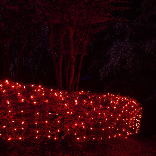 4' x 6' Red M5 LED Christmas Net Lights, 100 Lights on Green Wire