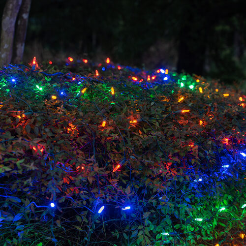 4' x 6' Multicolor M5 LED Christmas Net Lights, 100 Lights on Green Wire